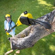 Why Choose Our Tree Removal Services in K I Sawyer, MI?